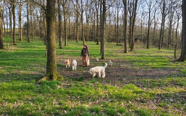 Holistische begeleiding